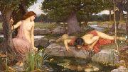 John William Waterhouse E-cho and Narcissus (mk41) oil on canvas
